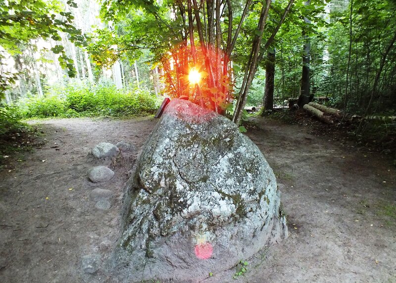 Large Rock in Forest — Green