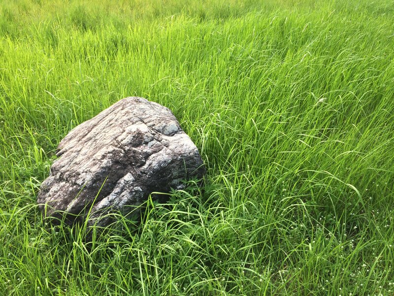 Large Rock in Grass — Green