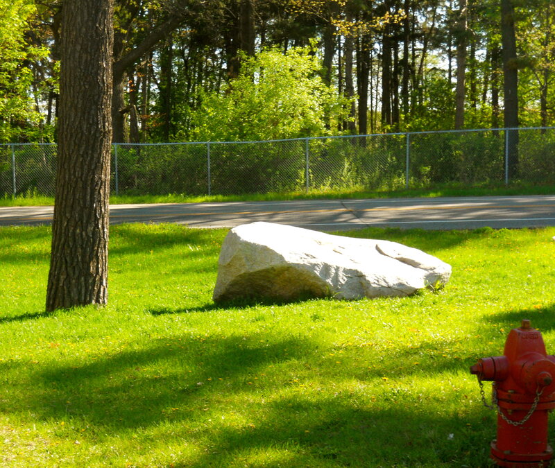 Large Rock in Grass