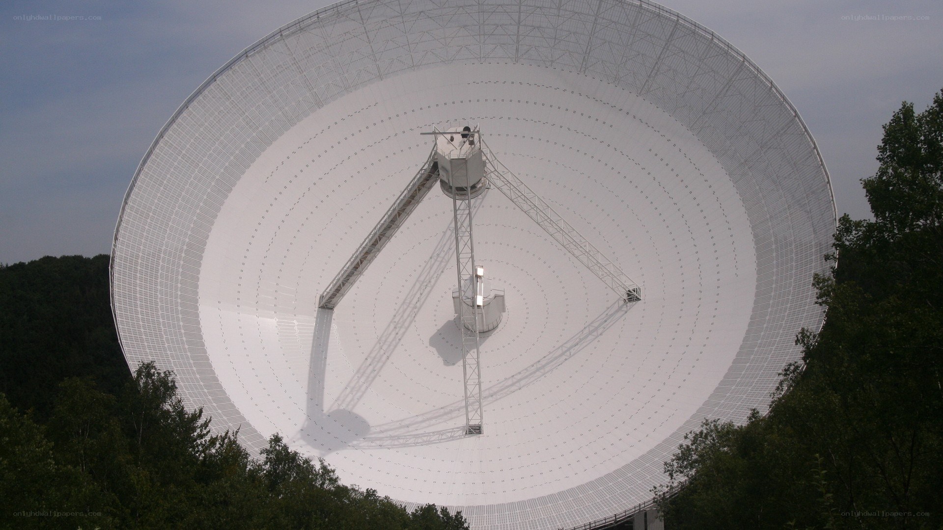Large satellite dish in forest