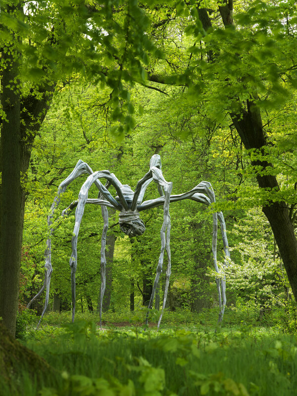 Large spider sculpture in forest