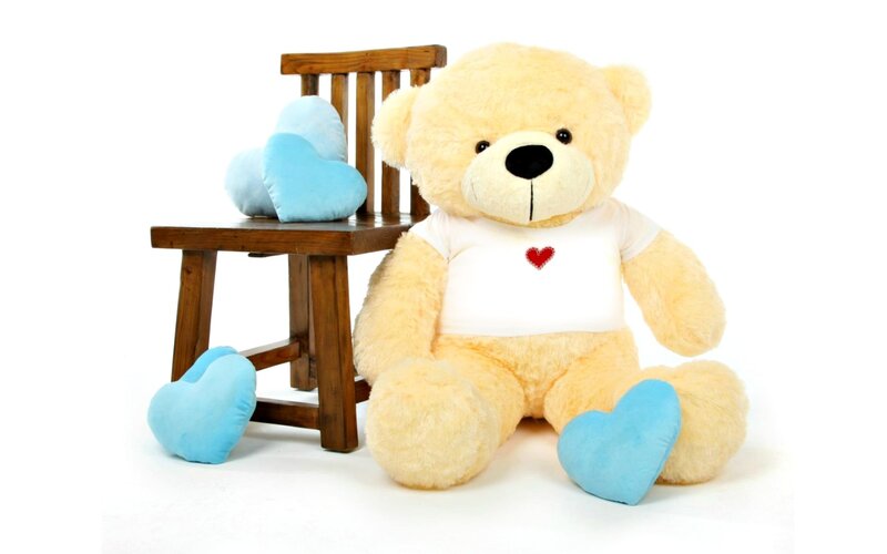 Large Teddy Bear