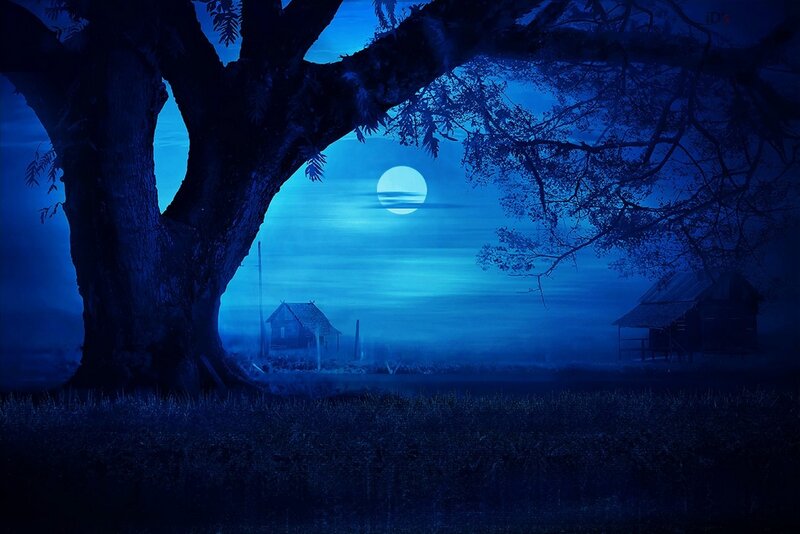 Large Tree at Night — Blue, Mysterious