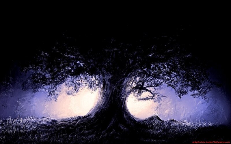 Large Tree in Dark Field