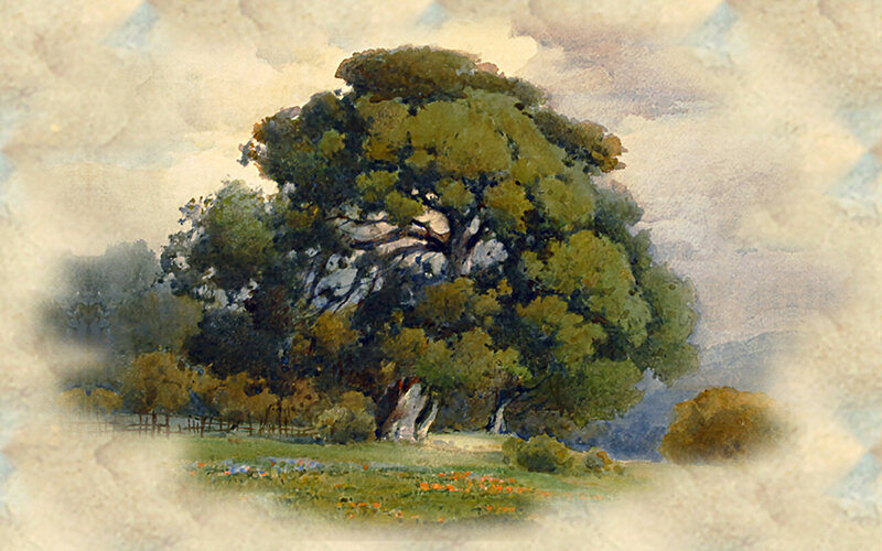 Large Tree in Field — Green, Serene, Afternoon, Painting