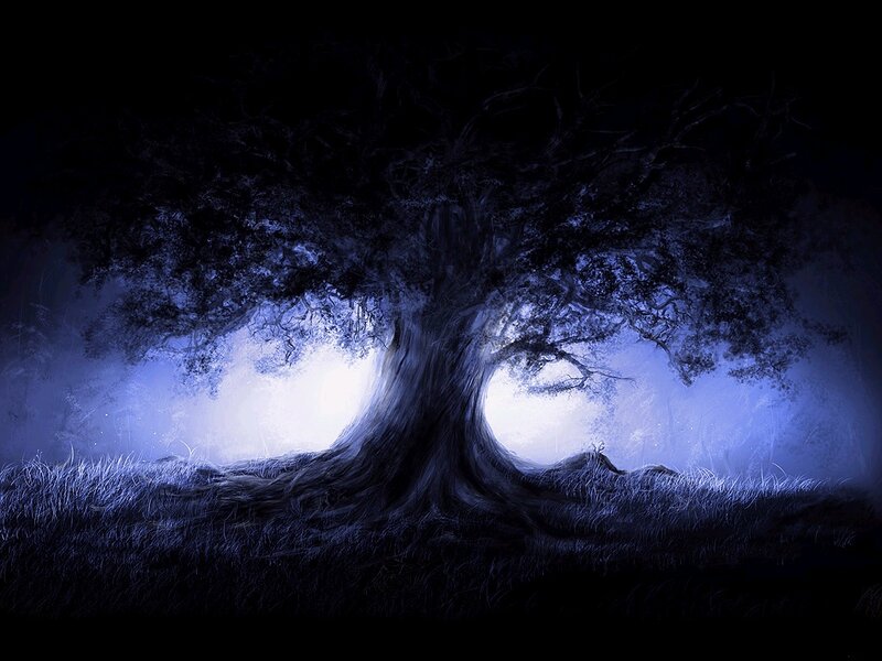 Large Tree in Fog — Blue, Mysterious, Night