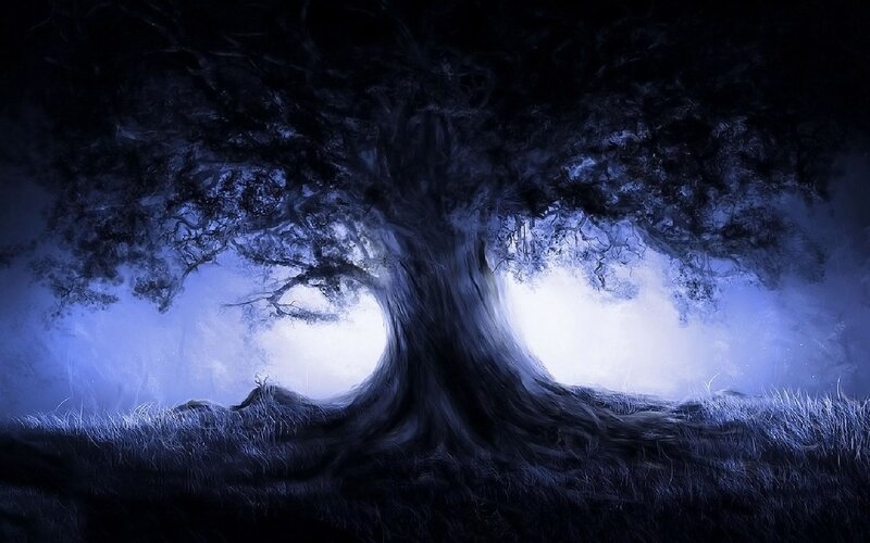 Large Tree in Fog — Blue, Mysterious