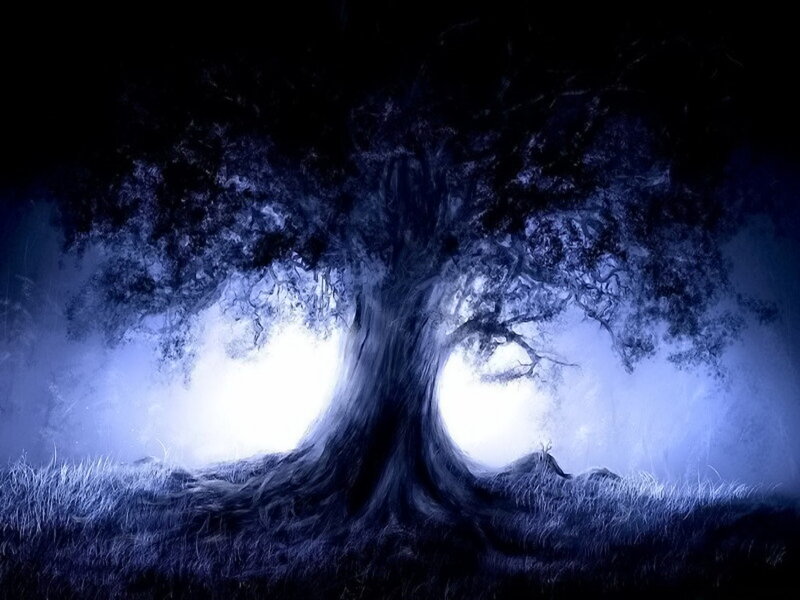 Large Tree in Fog — Blue