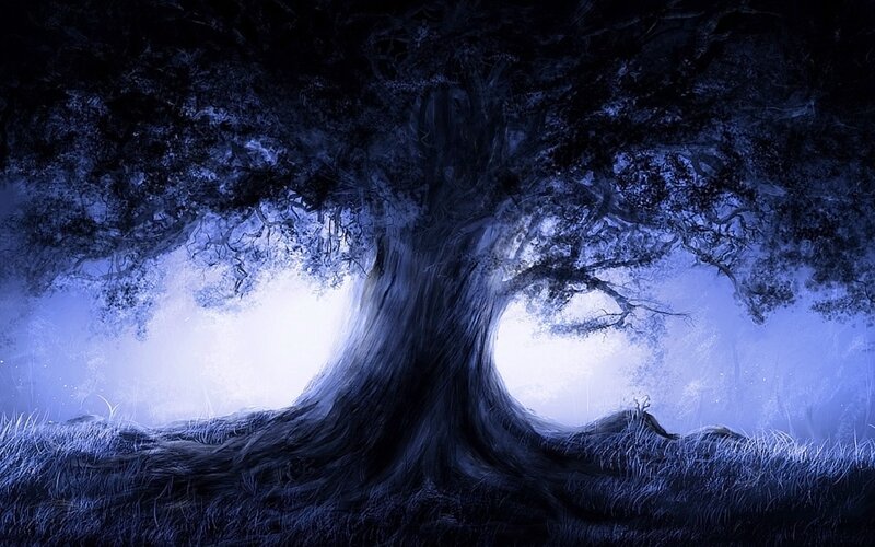 Large Tree in Forest — Blue