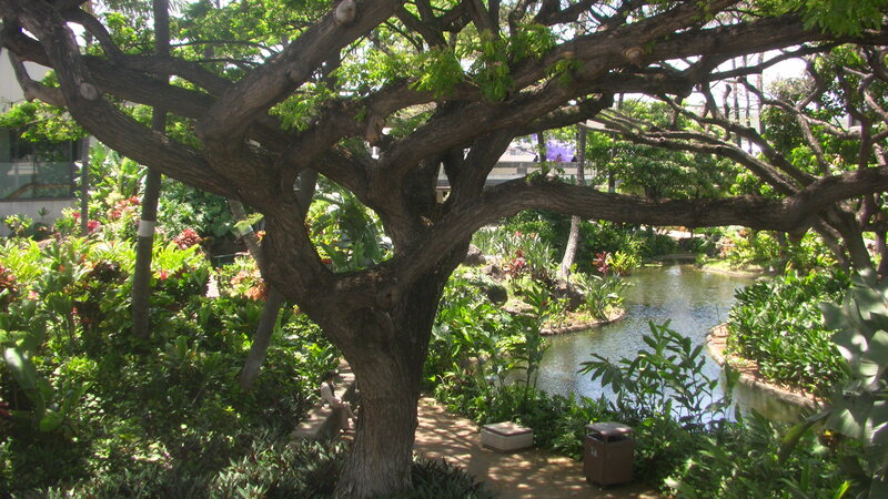 Large Tree in Garden — Green, Serene