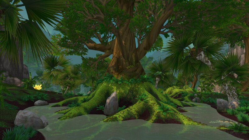 Large Tree in Jungle