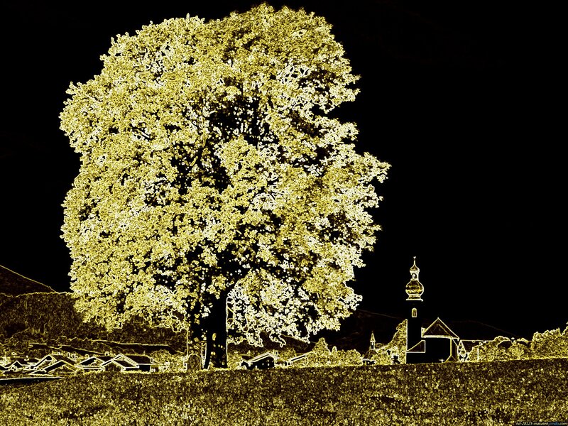 Large Tree in Village — Yellow
