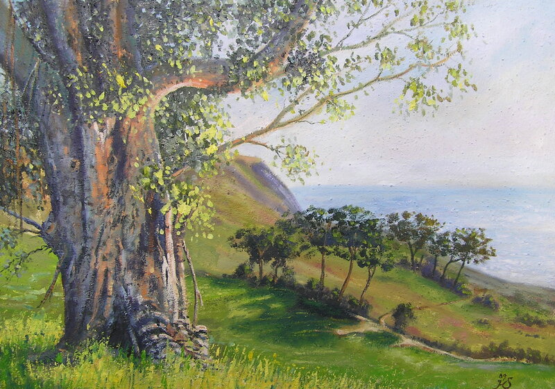 Large Tree on Hillside