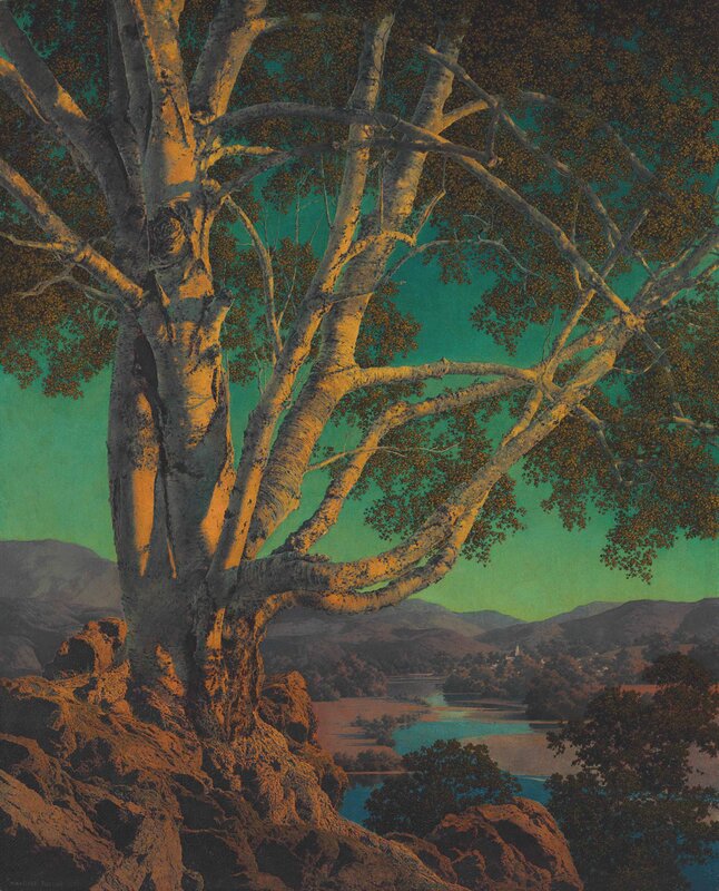 Large Tree on Rocky Cliff