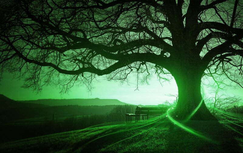 Large Tree with Bench — Green, Mystical