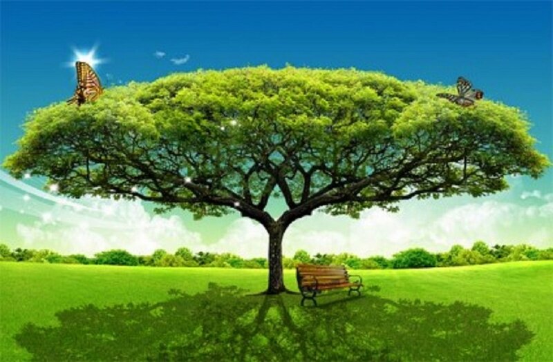 Large Tree with Bench — Green