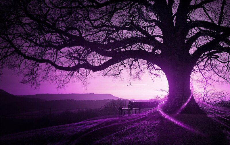 Large Tree with Bench — Purple