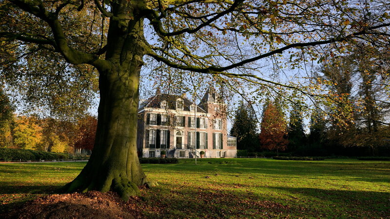 Large Tree with Manor