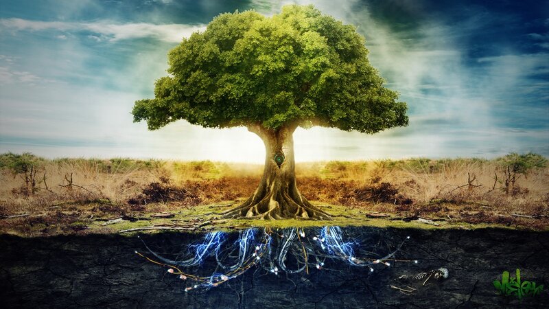 Large Tree with Roots — Green