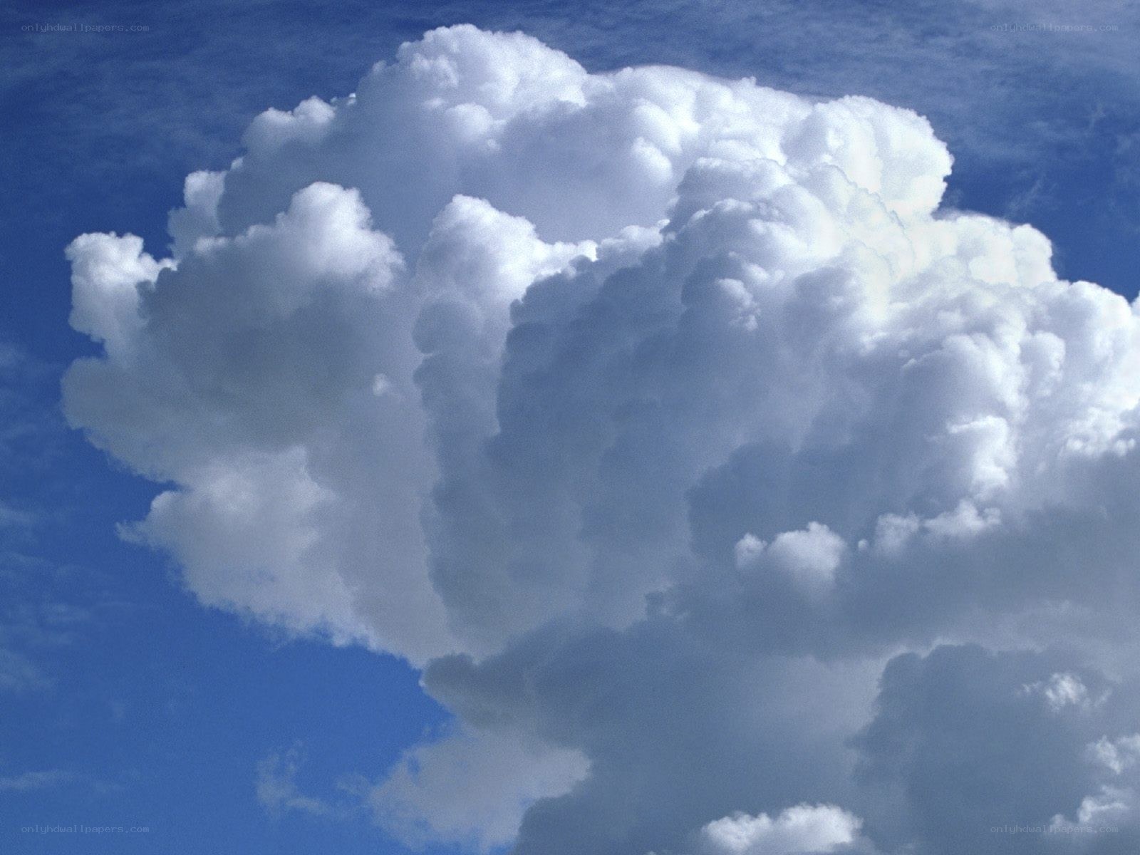 Large white cloud in blue sky