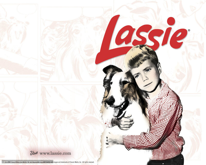 Lassie and boy hug