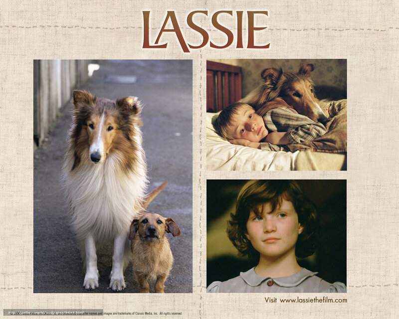 Lassie movie collage