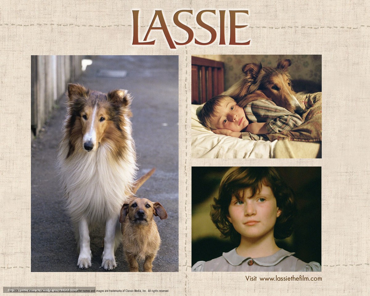 Lassie movie collage