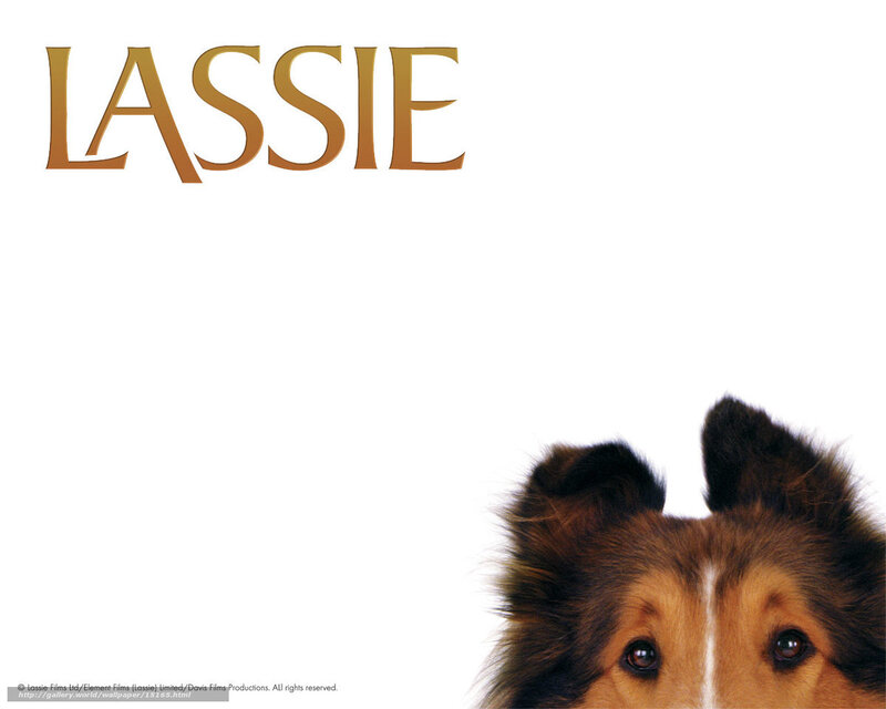 Lassie movie poster