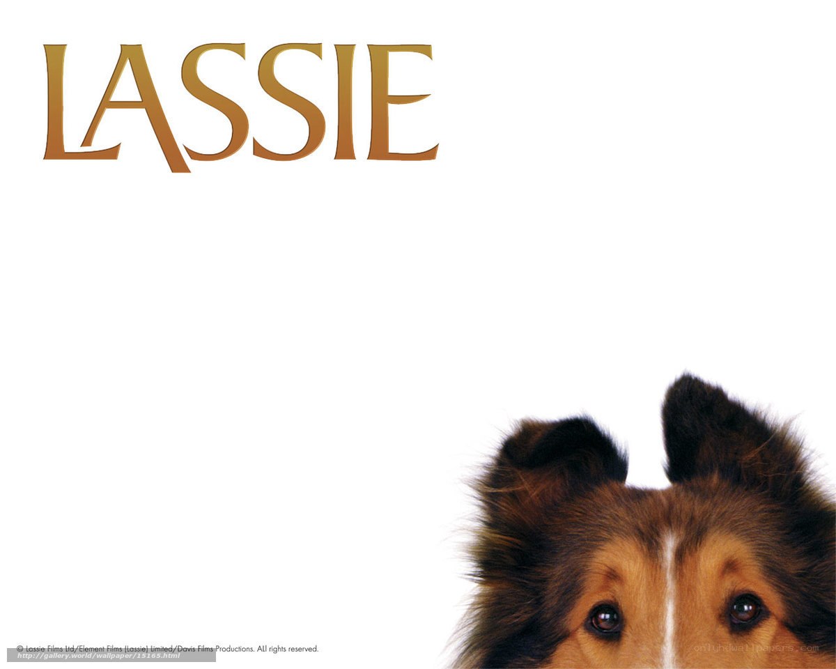 Lassie movie poster