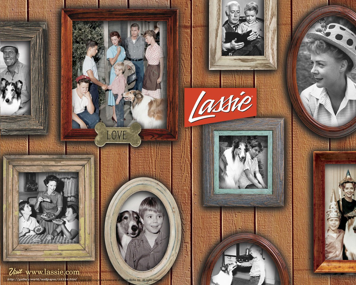 Lassie TV show collage