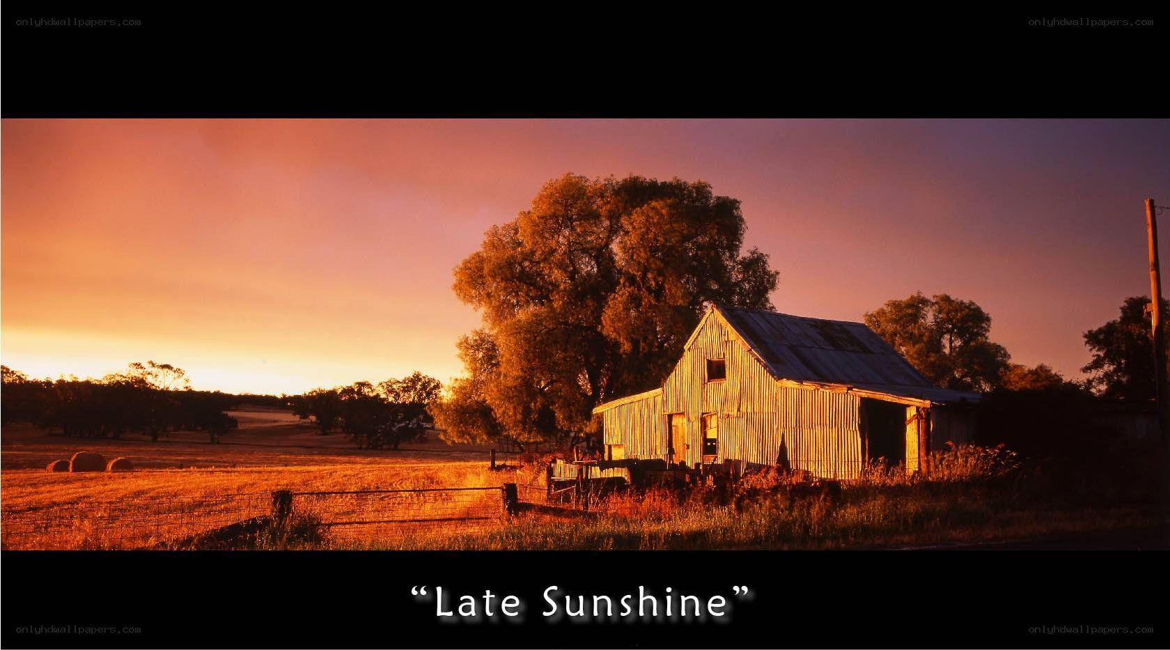 Late Sunshine
