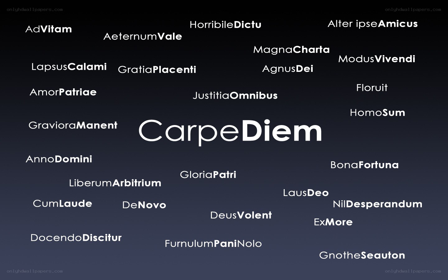 Latin phrases on dark background
