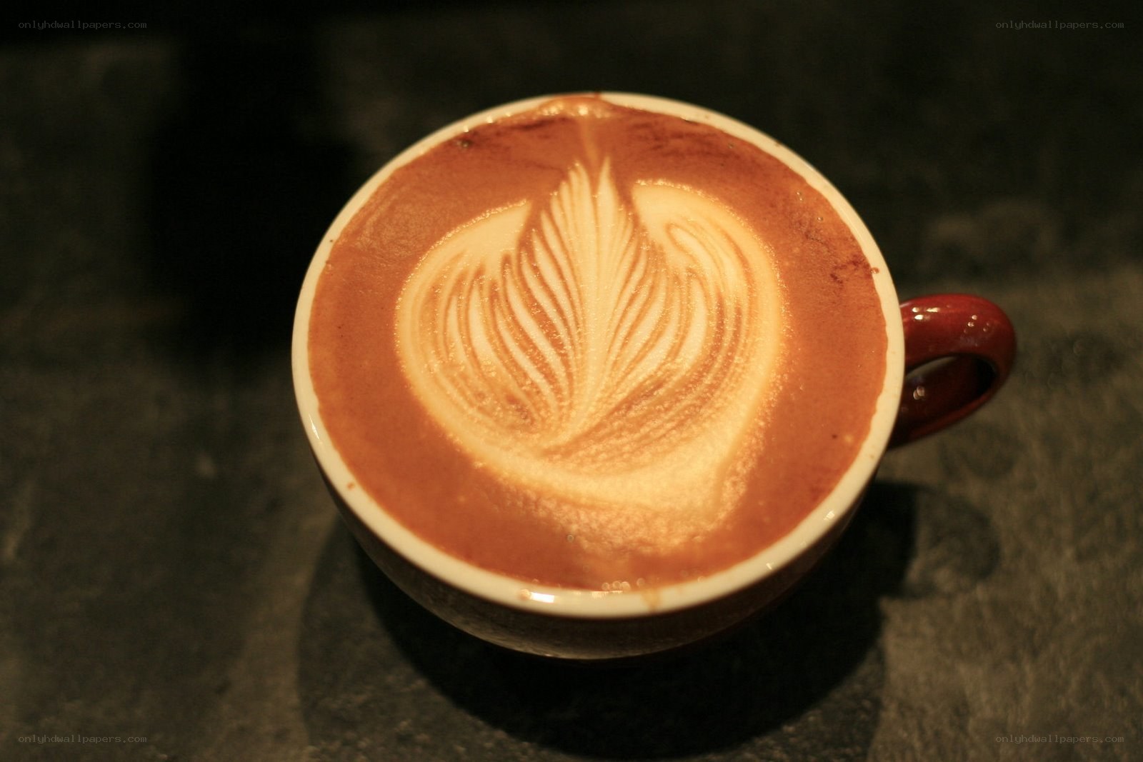 Latte art in a coffee cup