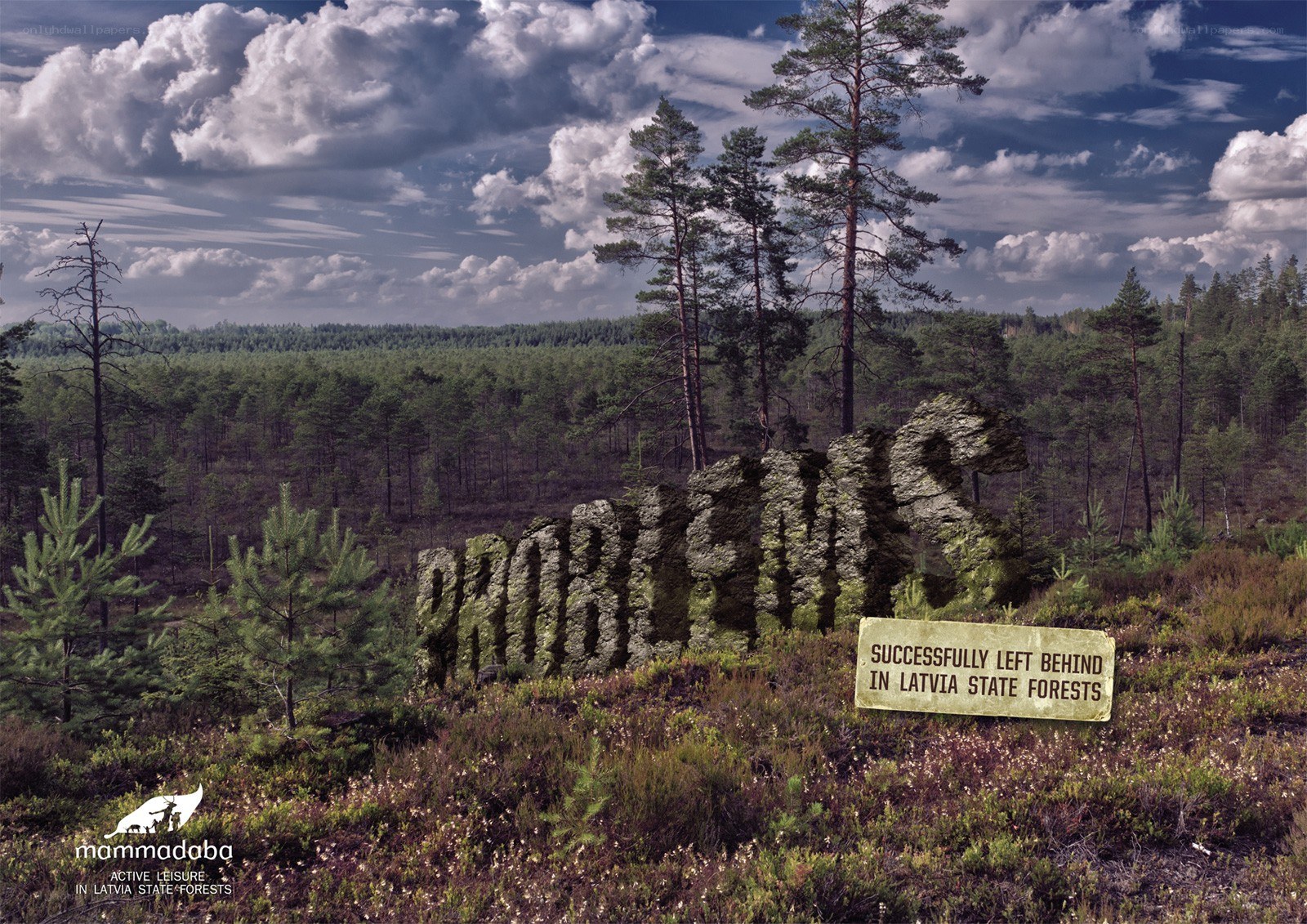 Latvia's forest success