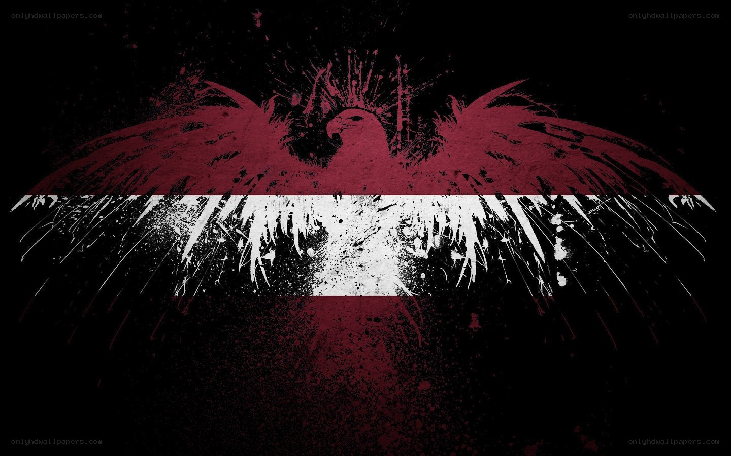 Latvian eagle flag art