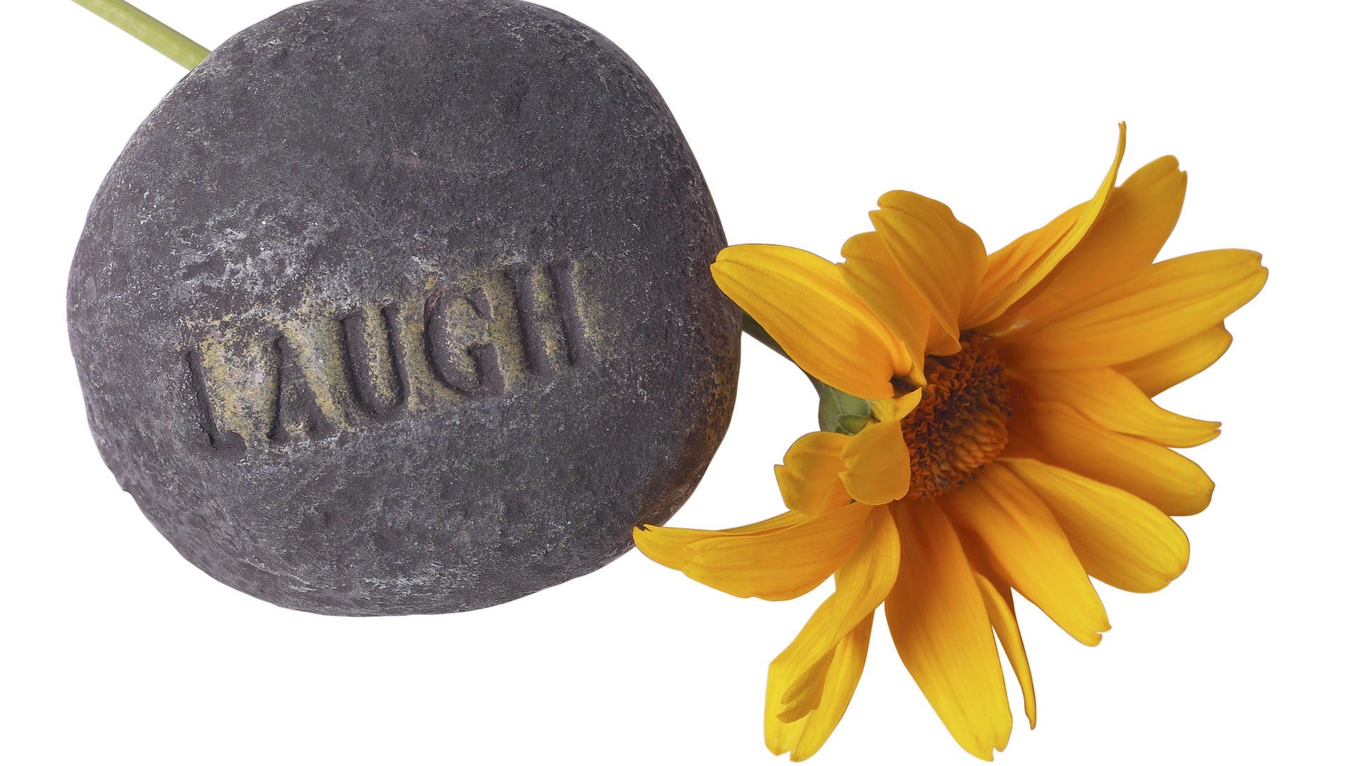 Laugh stone with yellow flower
