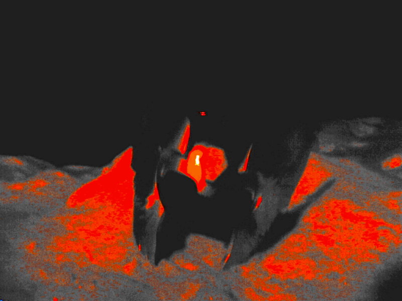 lava creature in dark landscape