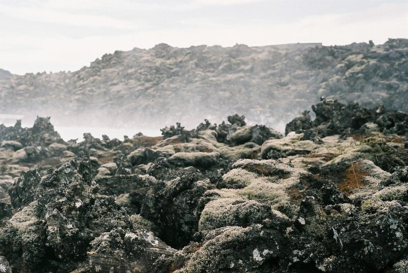 lava field with moss
