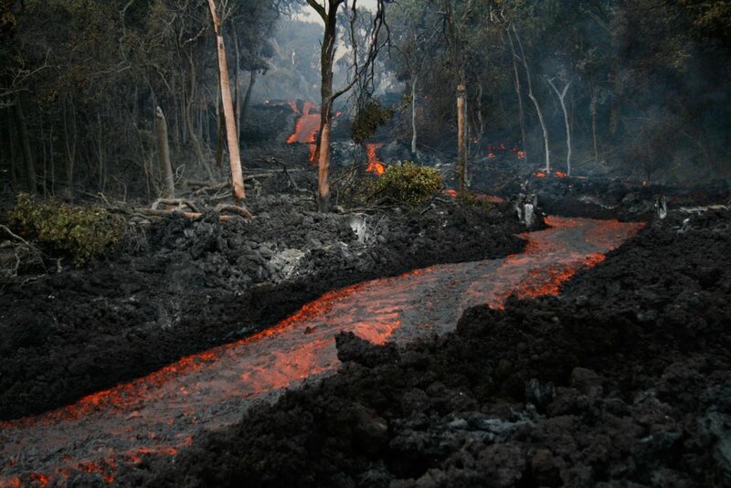 Lava flow through forest