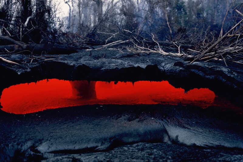 Lava Flow under Forest