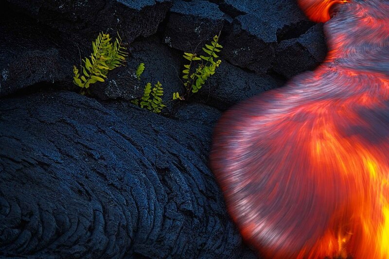 Lava Flow with Ferns
