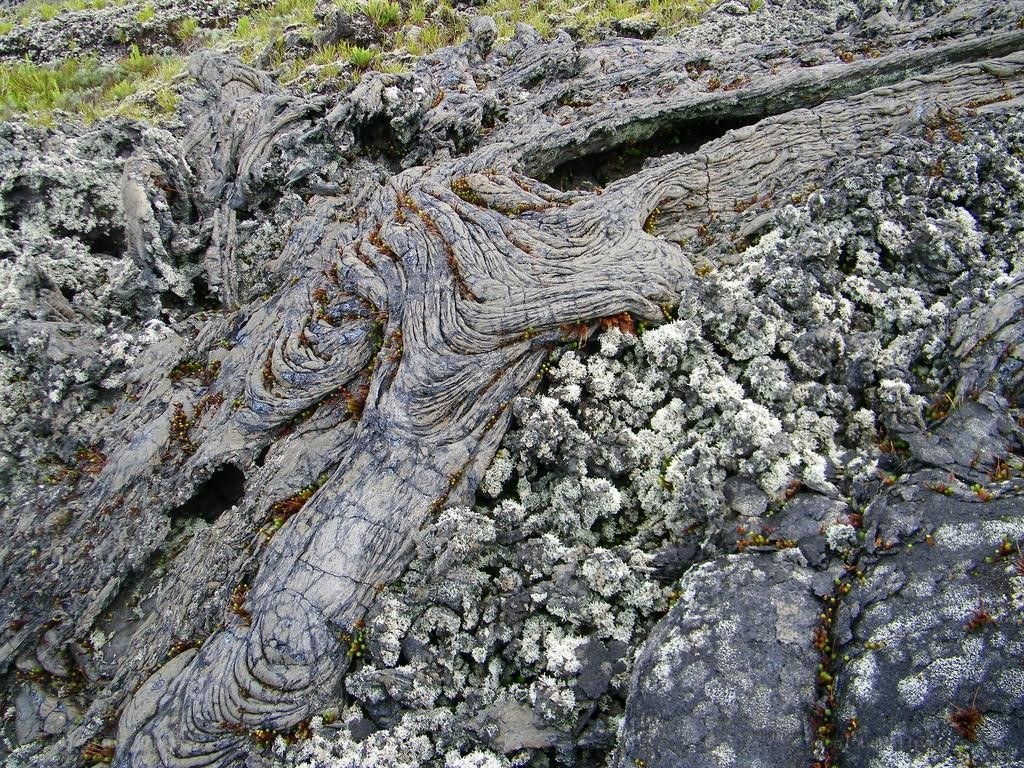 Lava flow with lichen growth