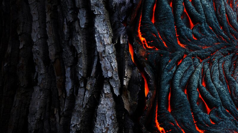 Lava Flowing Through Tree