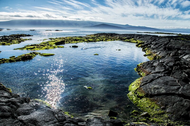 Lava Rock Pool