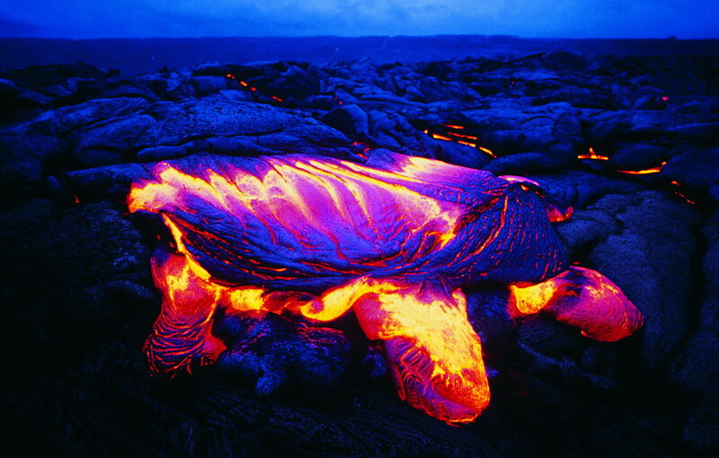 Lava Turtle Sculpture