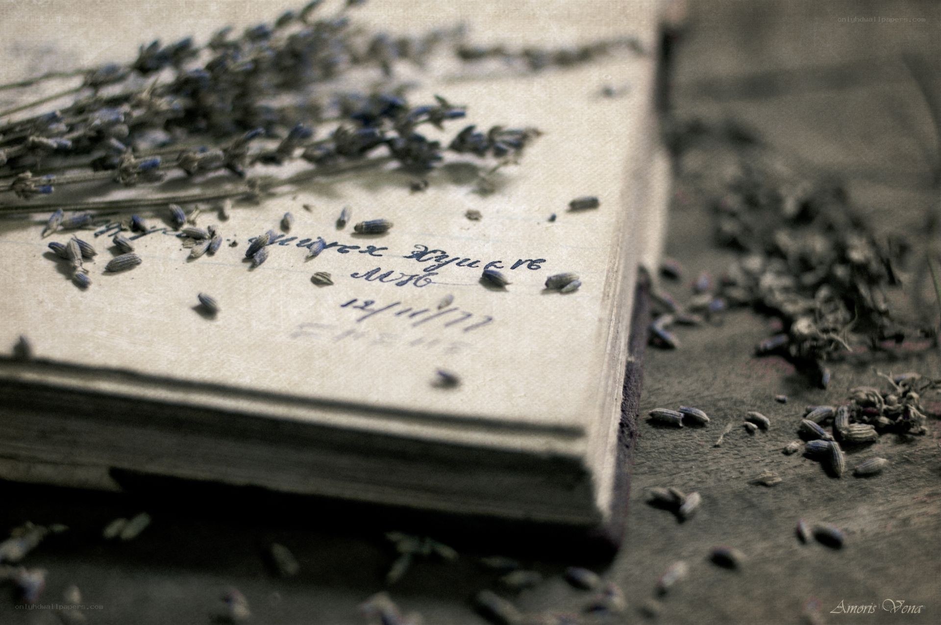 Lavender and old book