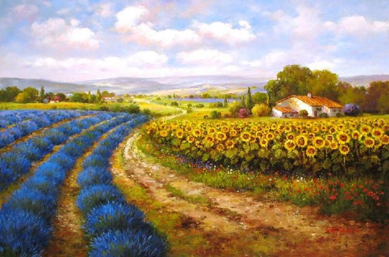 Lavender and Sunflower Fields
