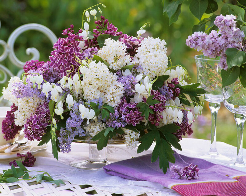 Lavender and White Flowers — Purple, Serene