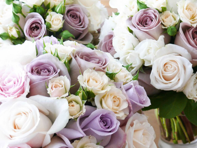 lavender and white roses