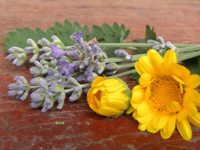 Lavender and Yellow Flowers — Calm